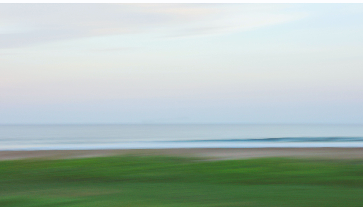 Buena Vista Photo: <https://beachradishimages.com/>beachradish images</a>