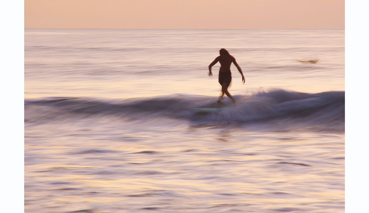 Caminar Photo: <https://beachradishimages.com/>beachradish images</a>