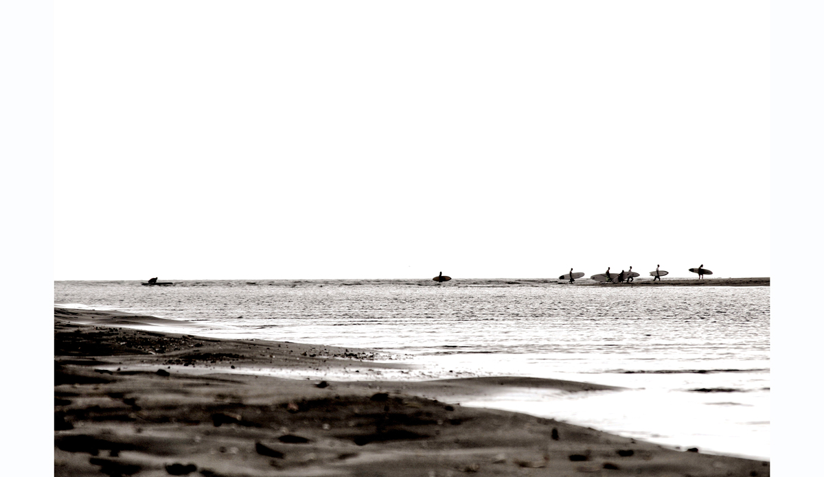 Cruce Photo: <https://beachradishimages.com/>beachradish images</a>