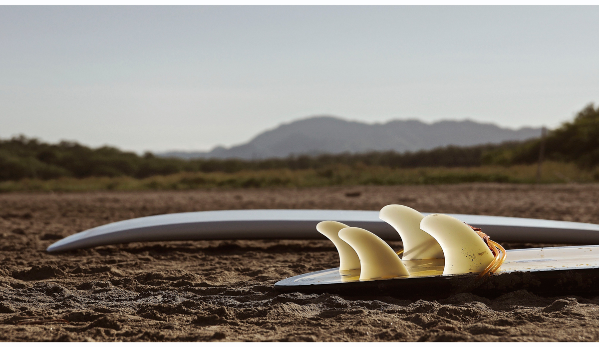 El Fin Photo: <https://beachradishimages.com/>beachradish images</a>