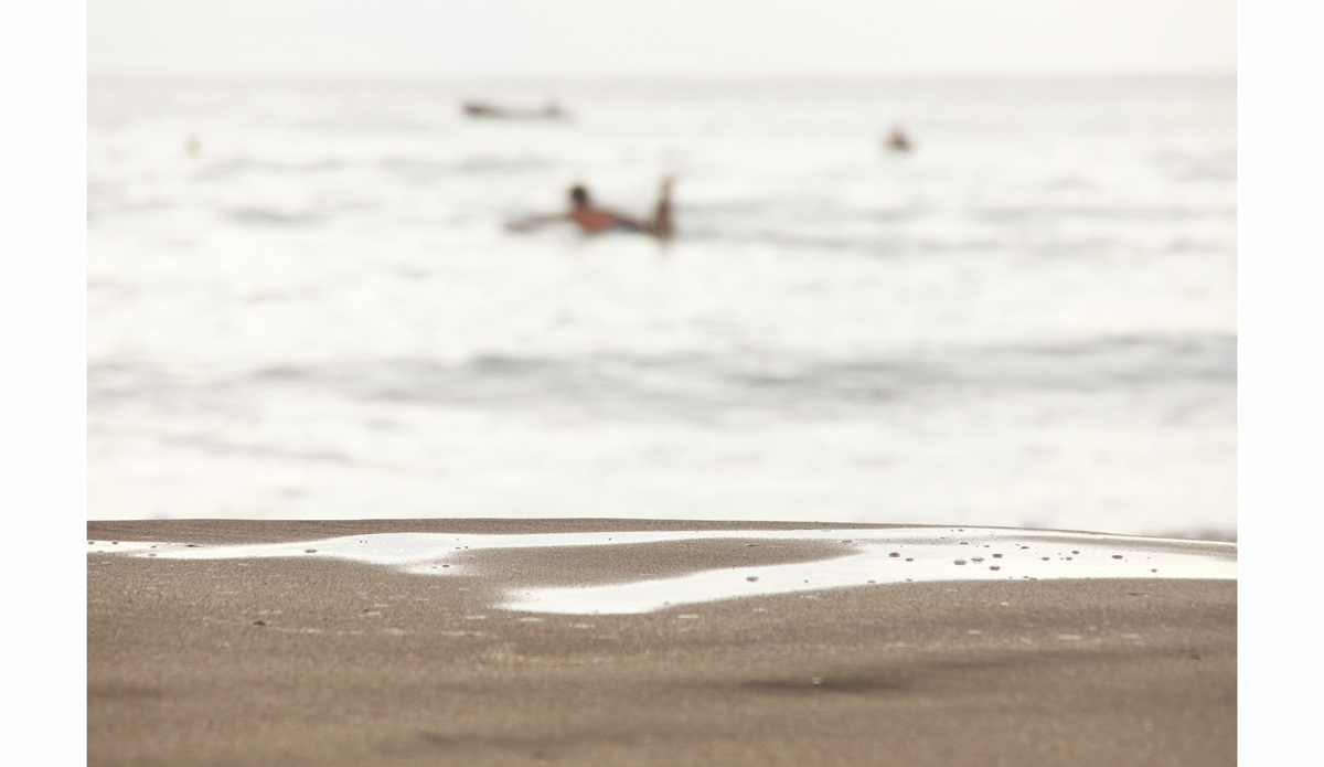 Mojado Photo: <https://beachradishimages.com/>beachradish images</a>