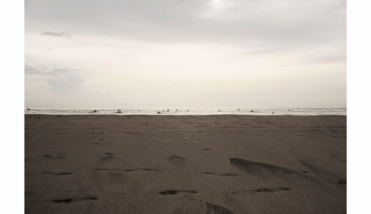 Tribe Photo: <https://beachradishimages.com/>beachradish images</a>