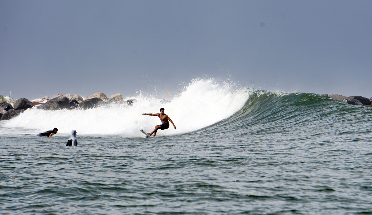 Will Warren. Photo: Alex Dantin