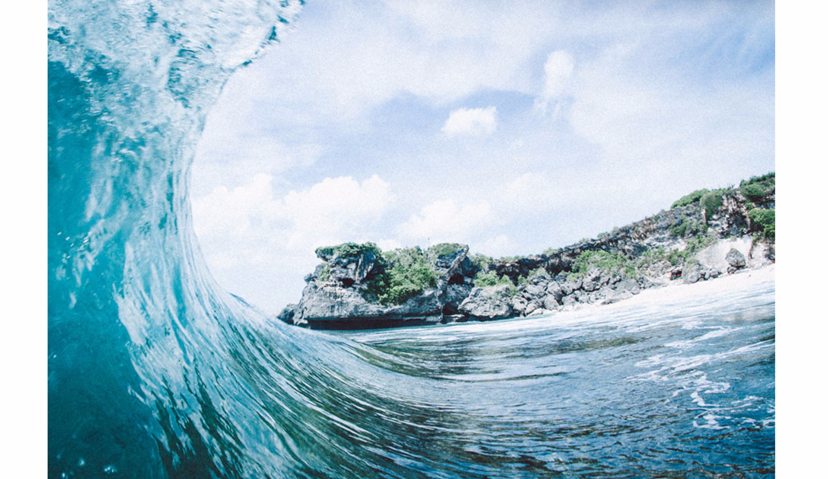 Just like honey. Photo: <a href=\"https://https://instagram.com/haydenoneill/\">Hayden O\'Neill</a>