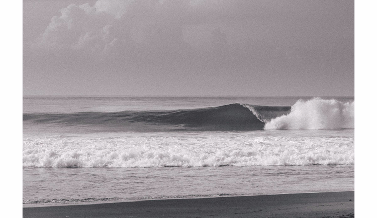 Photo: <a href=\"https://https://instagram.com/haydenoneill/\">Hayden O\'Neill</a>