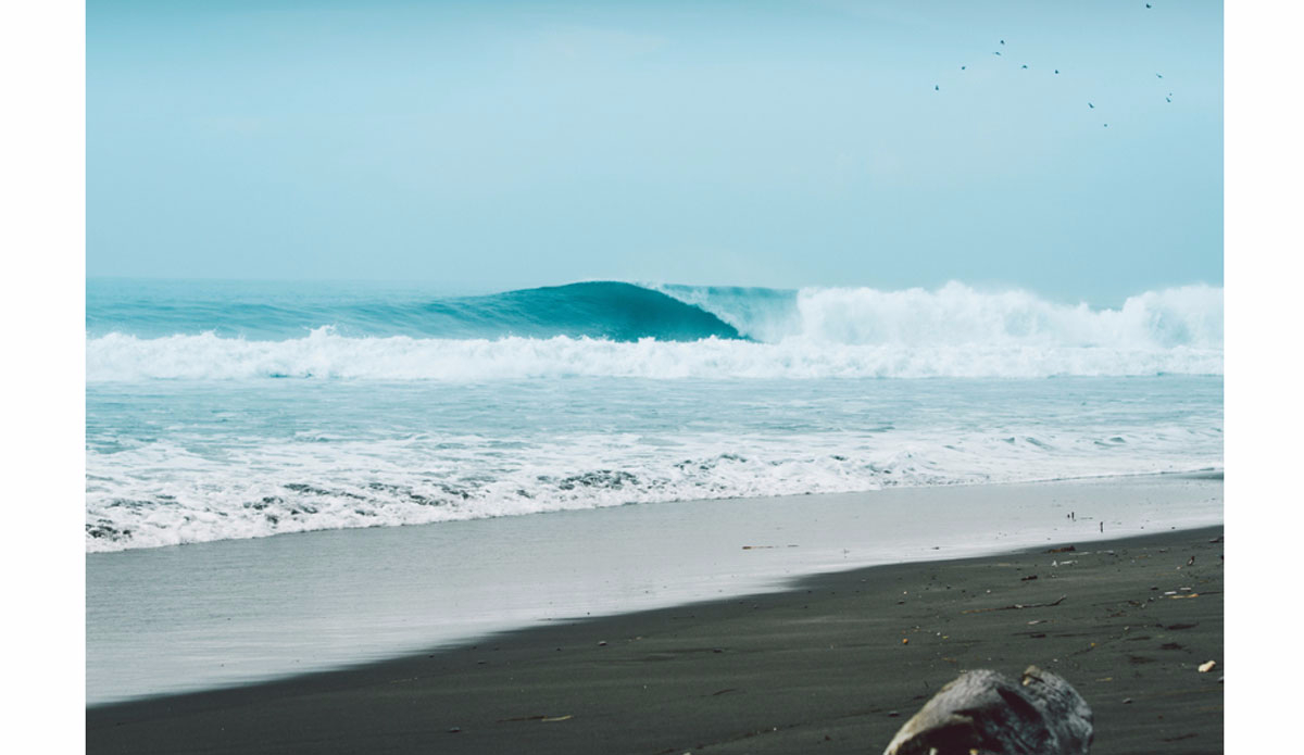 Photo: <a href=\"https://https://instagram.com/haydenoneill/\">Hayden O\'Neill</a>