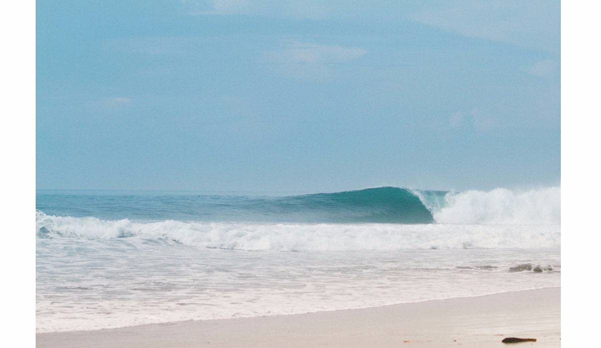 Photo: <a href=\"https://https://instagram.com/haydenoneill/\">Hayden O\'Neill</a>