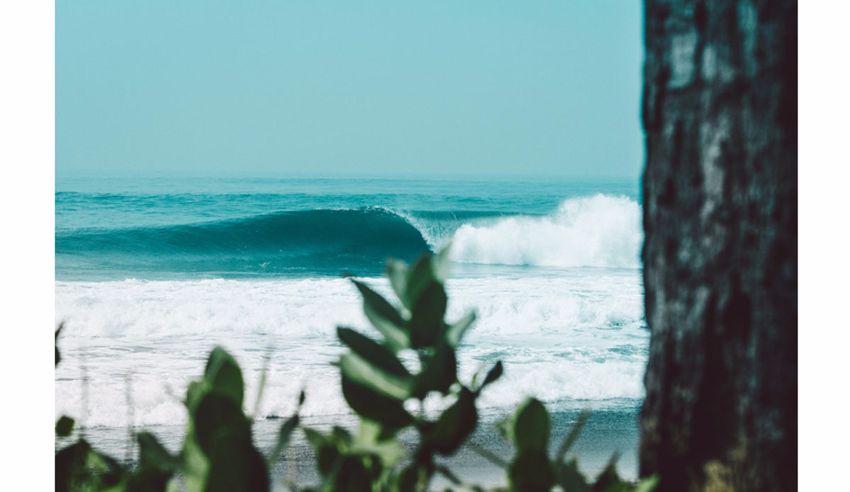 Photo: <a href=\"https://https://instagram.com/haydenoneill/\">Hayden O\'Neill</a>