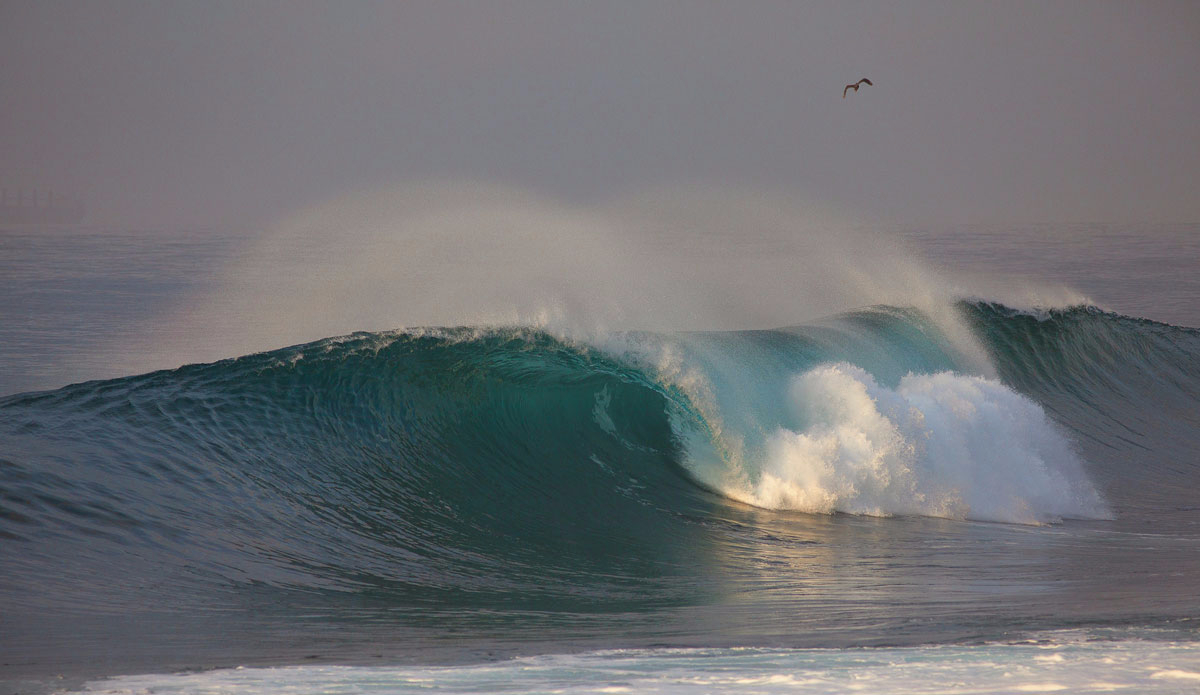 Photo: <a href=\"https://www.instagram.com/niko_soikkeli/\">Niko Soikkeli</a>