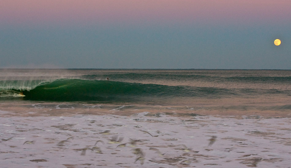 Last October was a swell for the ages, which brought many different emotions abroad. The North Eastern seaboard had it the worst with mass destruction. The Southern seaboard enjoyed some of the most incredible waves in the last 40 years. Here Shea Lopez enjoys one of the last tubes before it all ended. Photo: <a href=\"https://tupat.posterous.com/\" target=\"_blank\">Patrick Eichstaedt</a>
