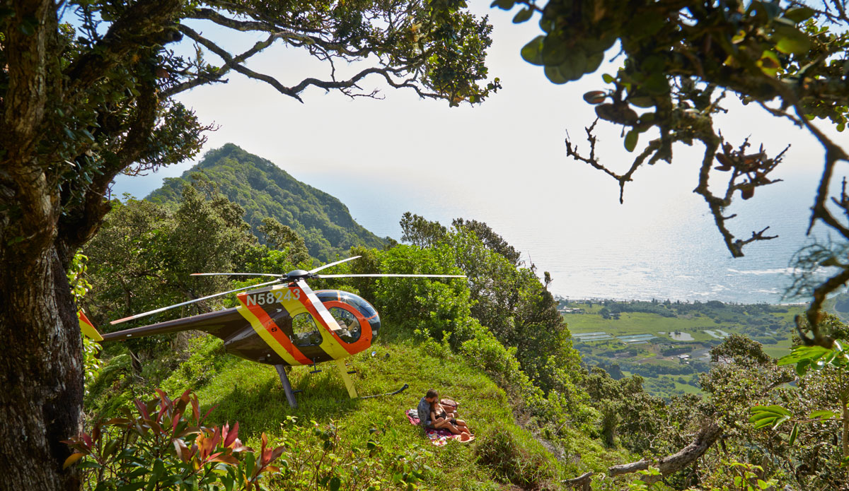 Is there a better place to have picnic?