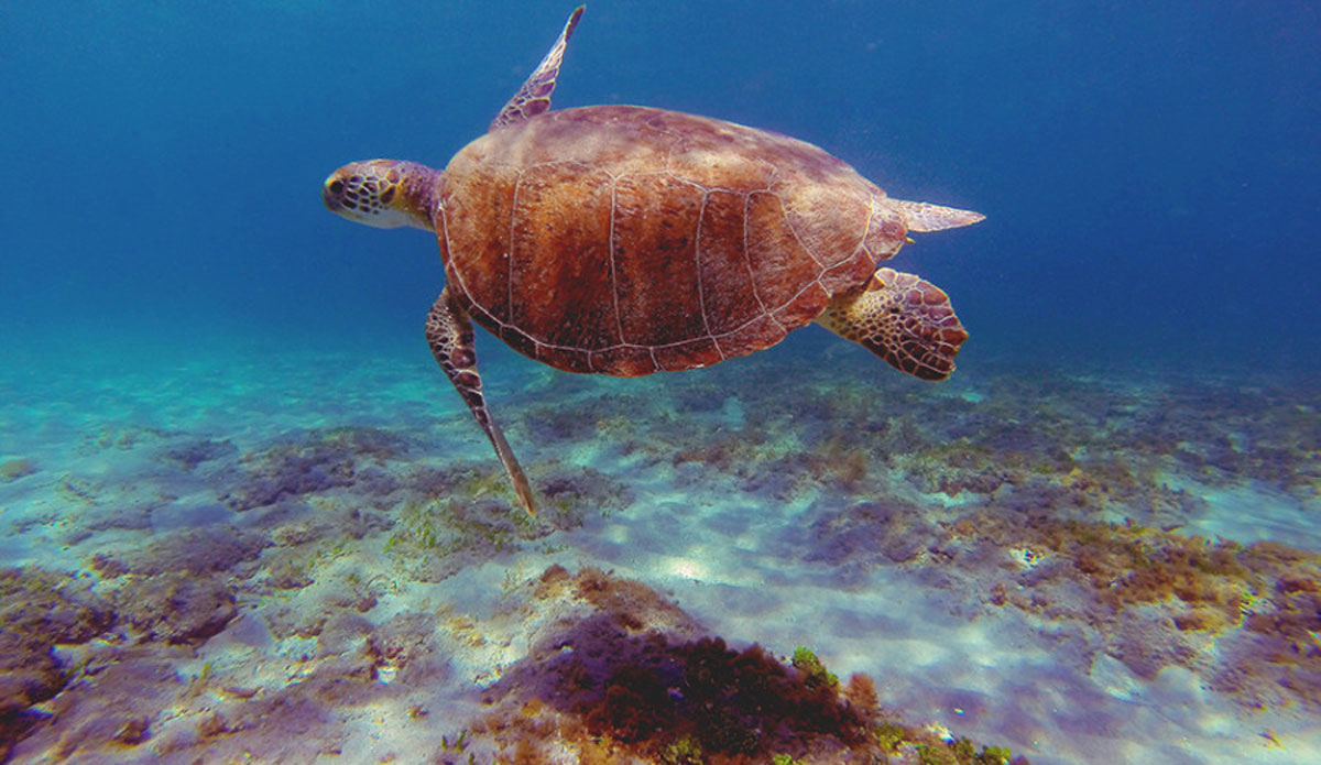 Majestic and peaceful. Photo: <a href=\"https://instagram.com/youngxsalt\"> Tondo</a>