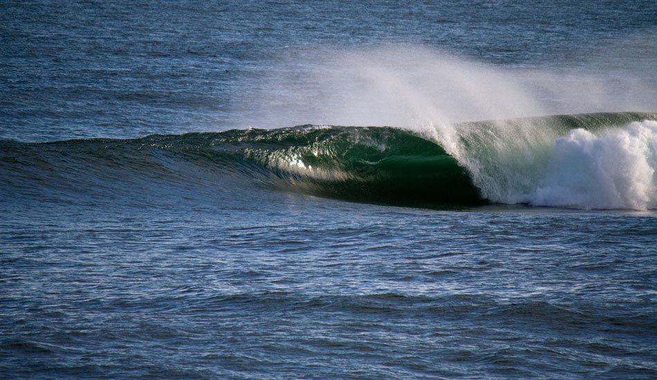 Maine showing it’s good for more than just lobsters. Photo: <a href=\"https://thewildlyfe.com/\">Eddie Compo/TheWildLyfe</a>