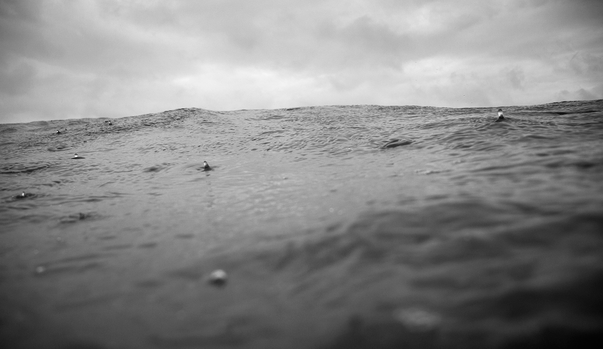 Drops. Photo: <a href=\"https://tyhereading.com/\">Tyhe Reading</a>