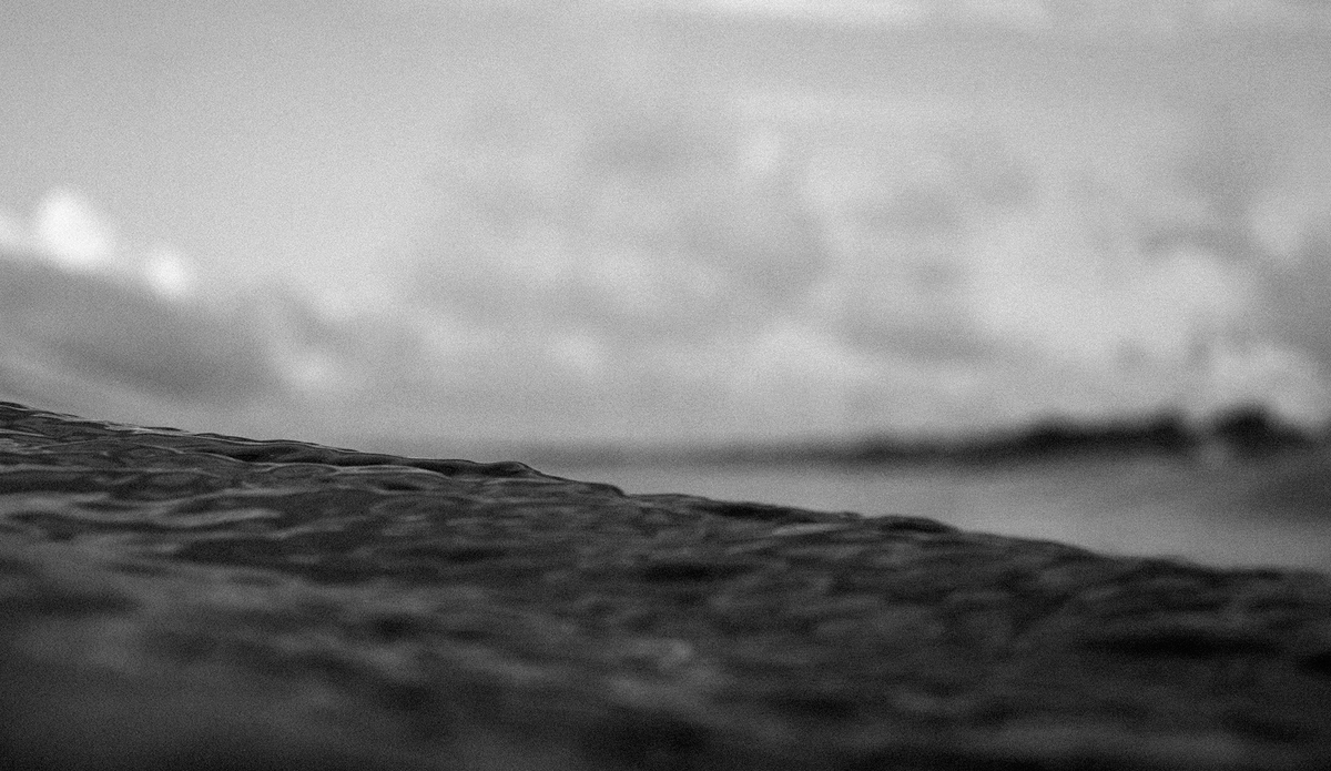 Miniature. Photo: <a href=\"https://tyhereading.com/\">Tyhe Reading</a>