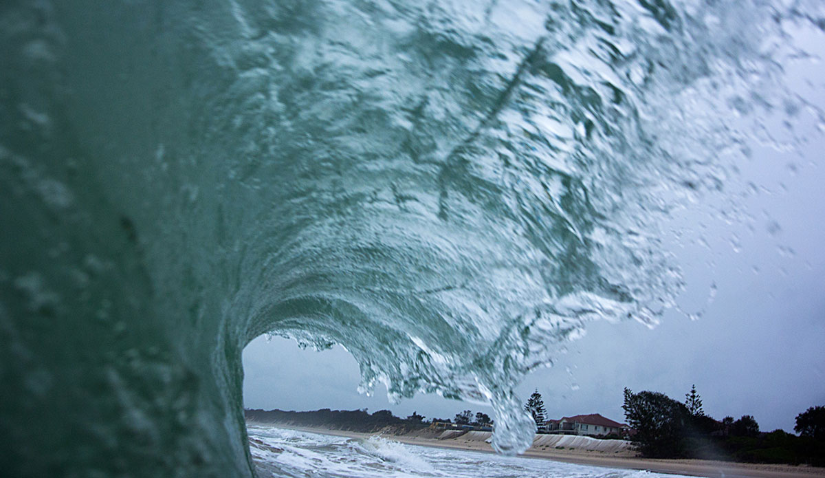 Moment in action. Photo: <a href=\"https://tyhereading.com/\">Tyhe Reading</a>