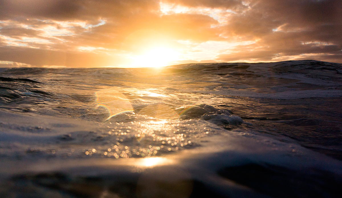 Morning Light. Photo: <a href=\"https://tyhereading.com/\">Tyhe Reading</a>