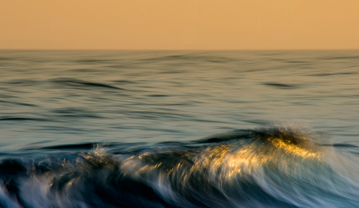 Movement. Photo: <a href=\"https://tyhereading.com/\">Tyhe Reading</a>