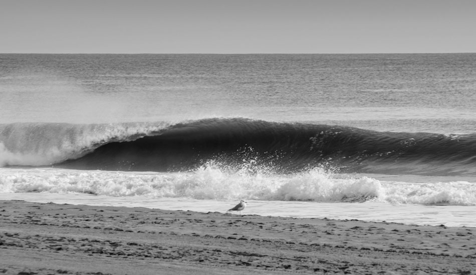 Photo: <a href=\"https://www.facebook.com/TylerPostPhotography\" target=\"_blank\">Tyler Post </a>