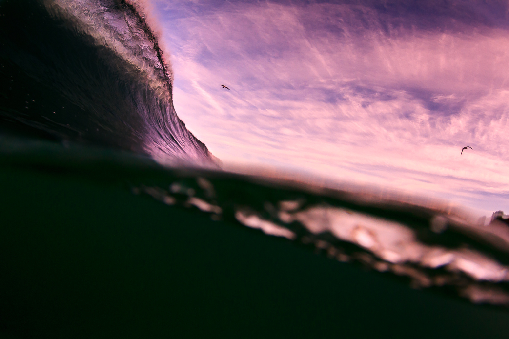 Barrels for breakfast. Barrels for Dinner. Everybody is happy.