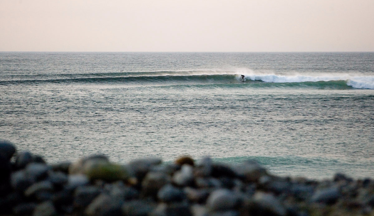 Photo: Scott Wicking.