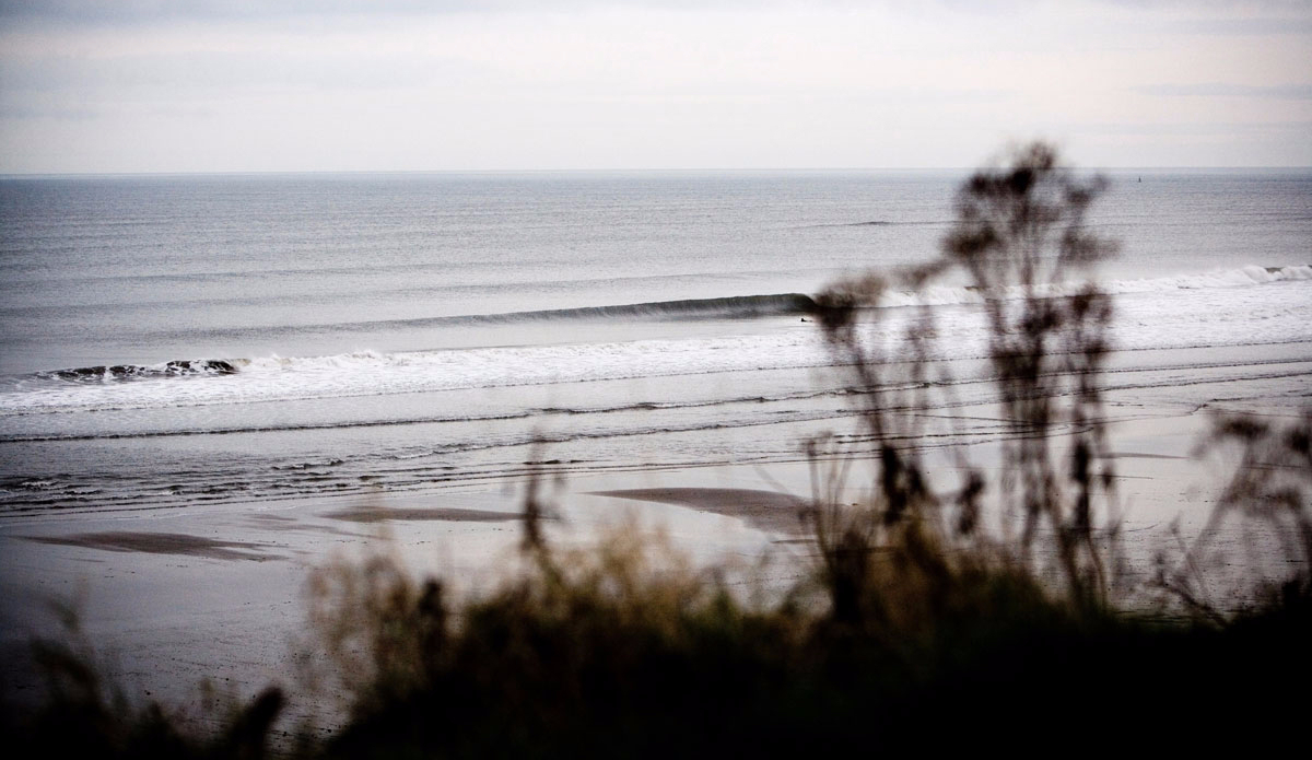 Photo: Scott Wicking.