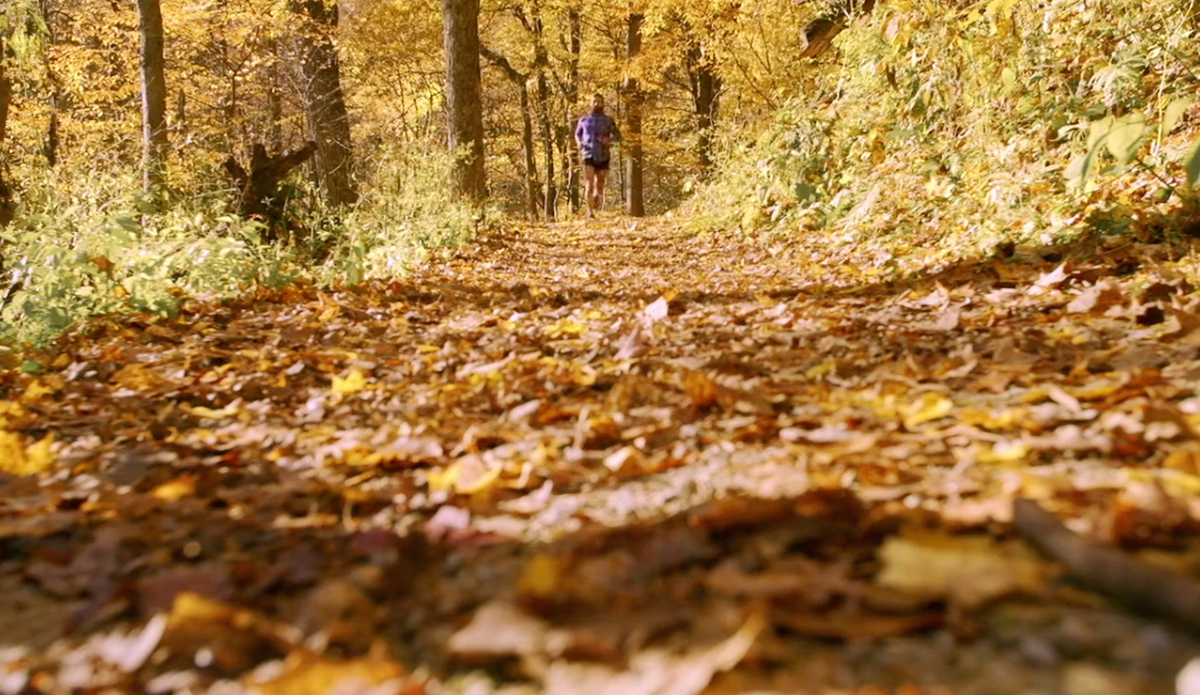 Screenshot: <a href=\"https://vimeo.com/123808723\">Fitsok</a>