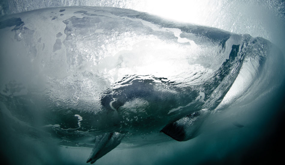 Womb. A surfer falls from his board a moment before it closes out at Bronte Beach, Sydney. “Chasing surfers underwater became a thing through winter. This surfer hit my camera a second later, and we both came up laughing. Well, I did anyway. He was confused.\" Photo: <a href=\"https://www.marktipple.com/\" target=_blank>Mark Tipple</a>.