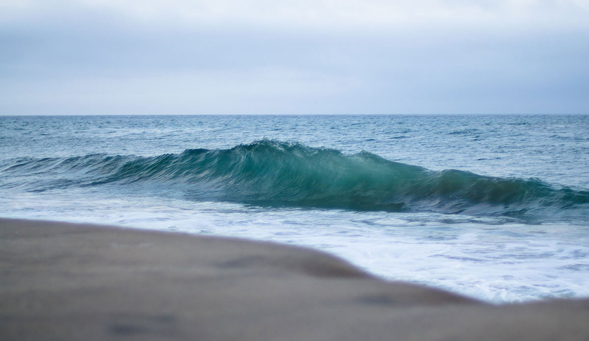 Photo: <a href=\"https://www.victoriamouraphoto.com/#0\"> Victoria Smith</a>