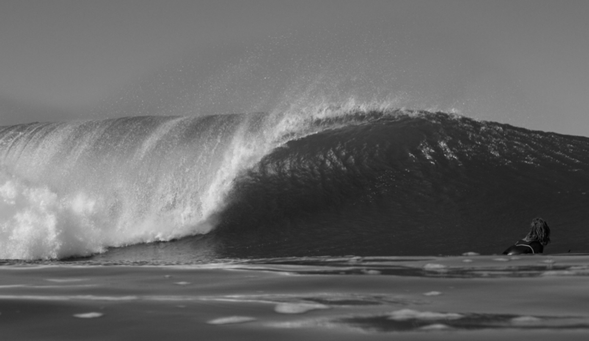 Black Gold Photo: <a href=\"https://haydenoneillphoto.com/\">Hayden O\'Neill</a>