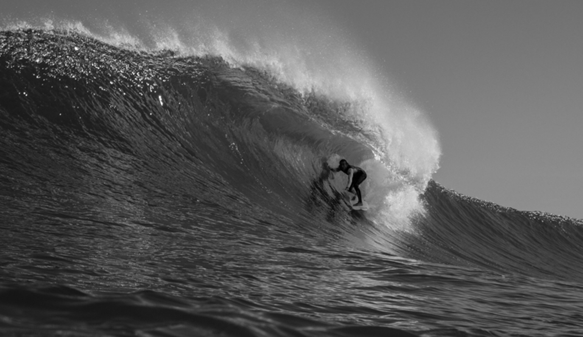 Darcy Malesa Photo: <a href=\"https://haydenoneillphoto.com/\">Hayden O\'Neill</a>