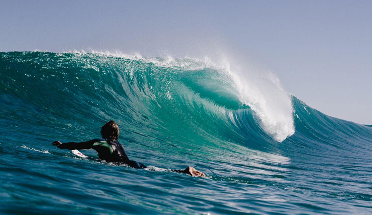 Eyes On It All Photo: <a href=\"https://haydenoneillphoto.com/\">Hayden O\'Neill</a>