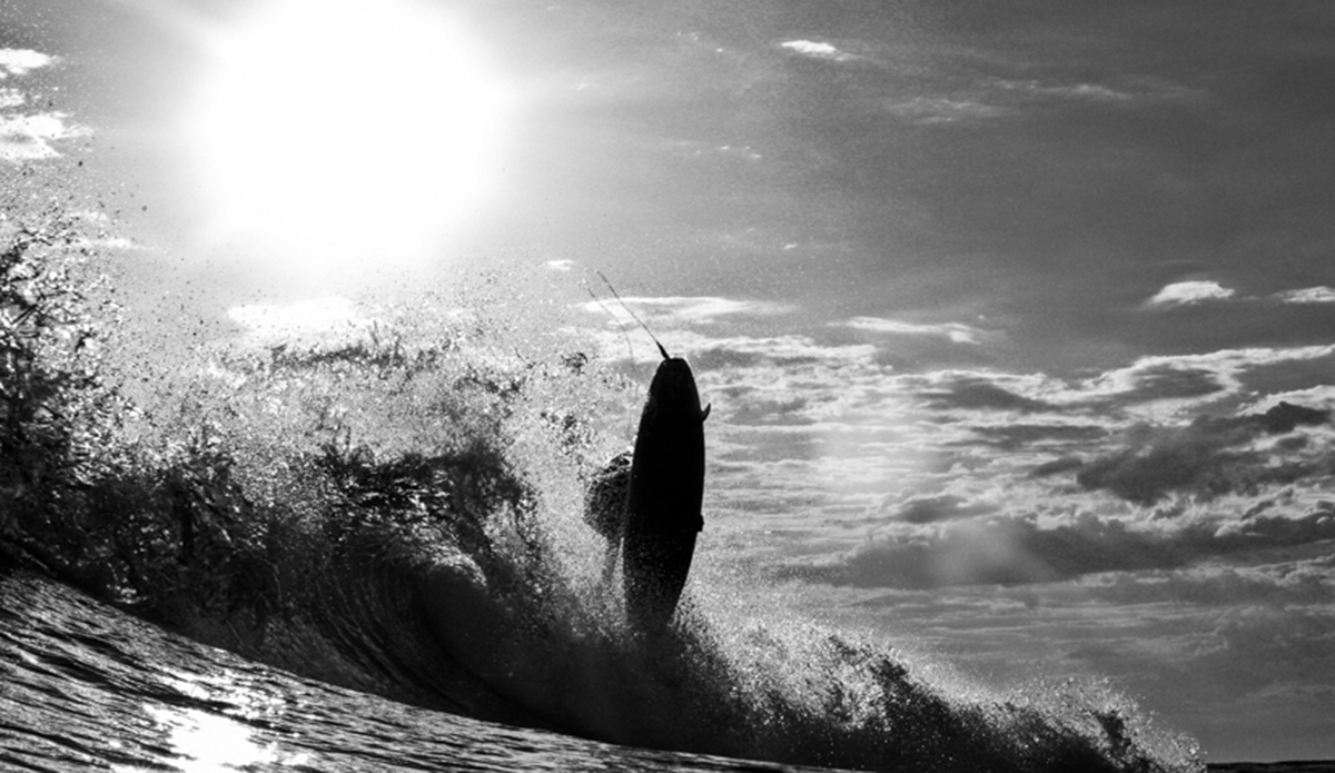 Mitch Hayes Photo: <a href=\"https://haydenoneillphoto.com/\">Hayden O\'Neill</a>