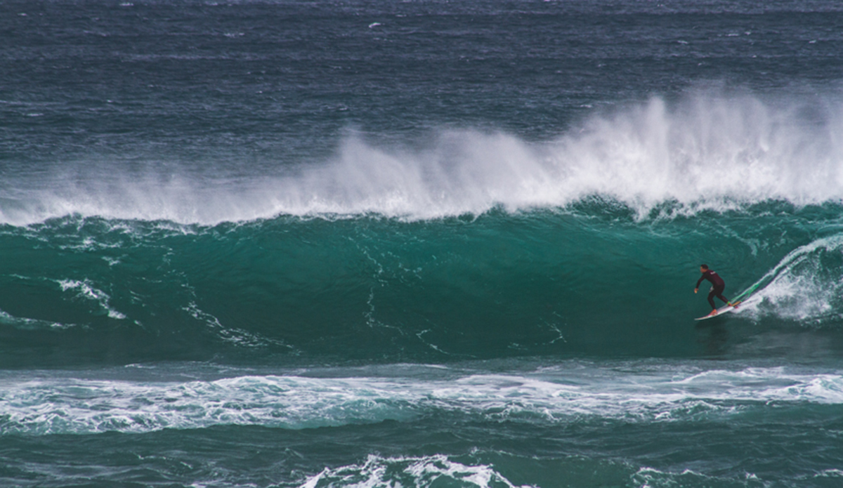 Nick Wallace Photo: <a href=\"https://haydenoneillphoto.com/\">Hayden O\'Neill</a>