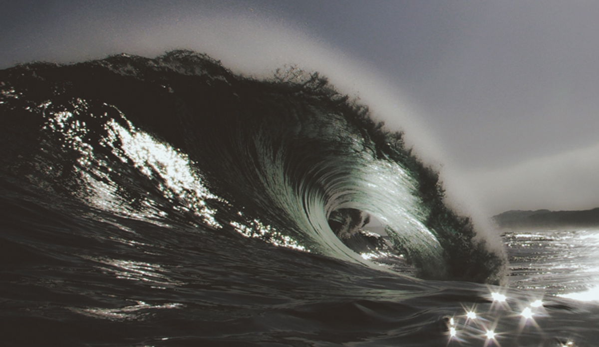 Starry Mornings Photo: <a href=\"https://haydenoneillphoto.com/\">Hayden O\'Neill</a>