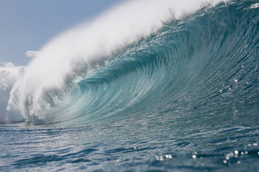 Empty. Photo: Davin Phelps