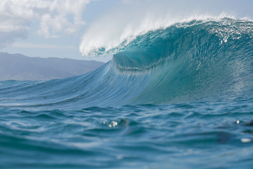 Empty barrel. Photo: Davin Phelps