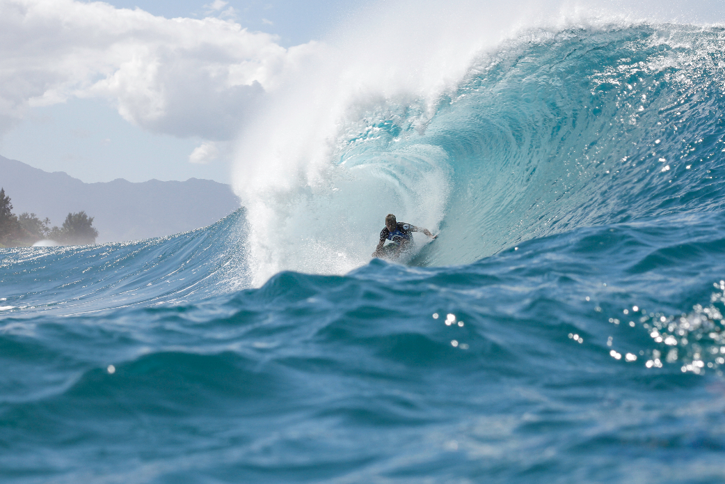 Seabass. Photo: Davin Phelps