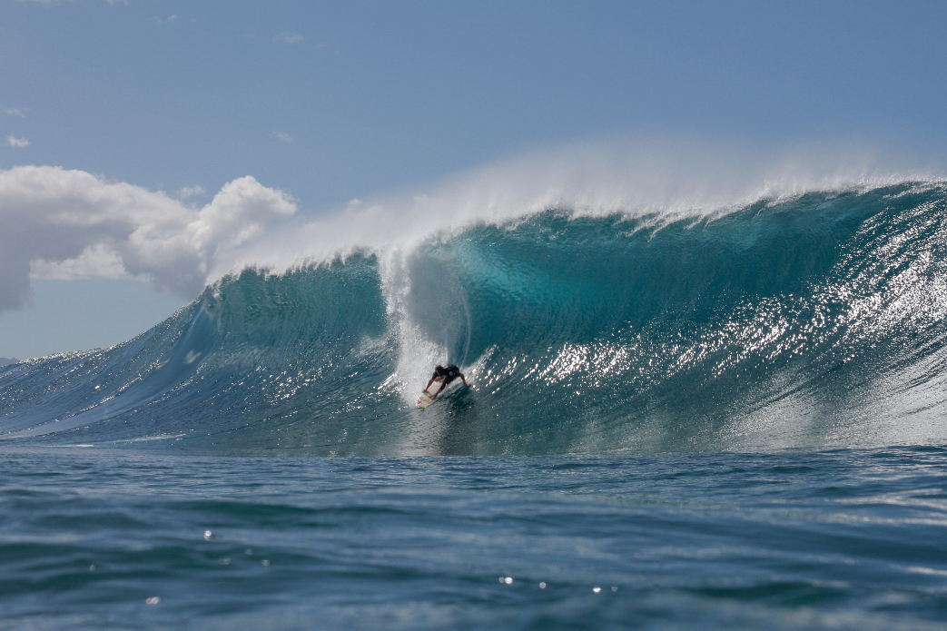 Wardo. Photo: Davin Phelps