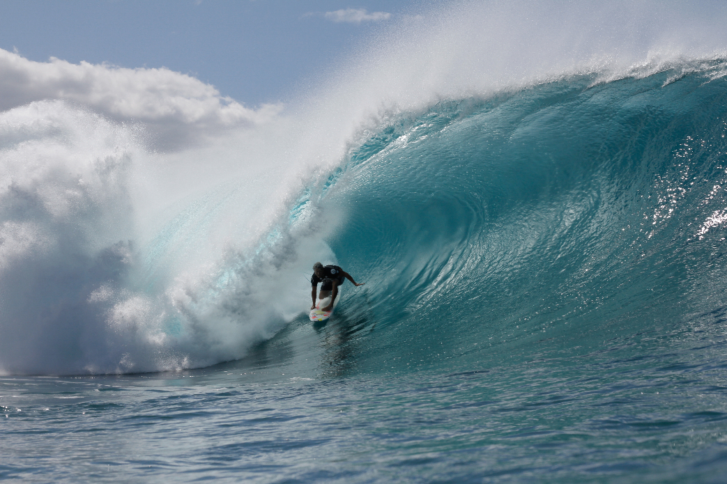 Wardo. Photo: Davin Phelps