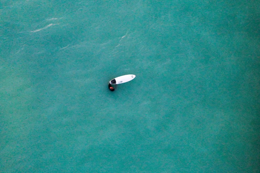 The King, taking in the view.