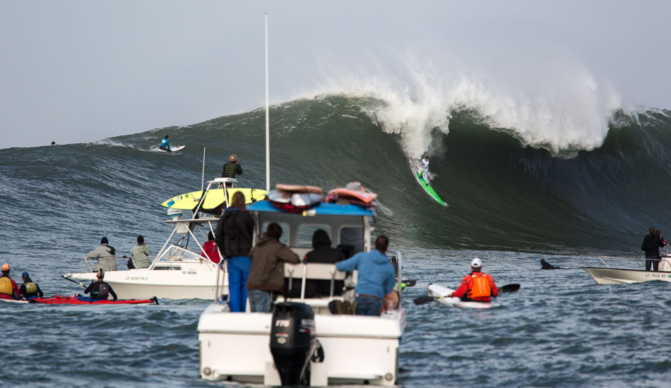 2. Photo: <a href=\"https://www.adamwarmington.com/\">Adam Warmington.</a>