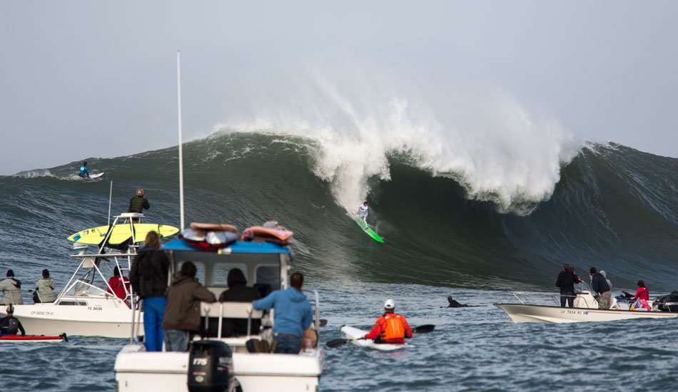 3. Photo: <a href=\"https://www.adamwarmington.com/\">Adam Warmington.</a>