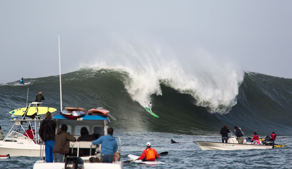 4. Photo: <a href=\"https://www.adamwarmington.com/\">Adam Warmington.</a>