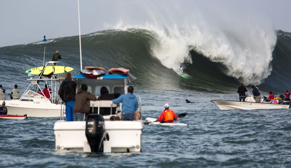 5. Photo: <a href=\"https://www.adamwarmington.com/\">Adam Warmington.</a>