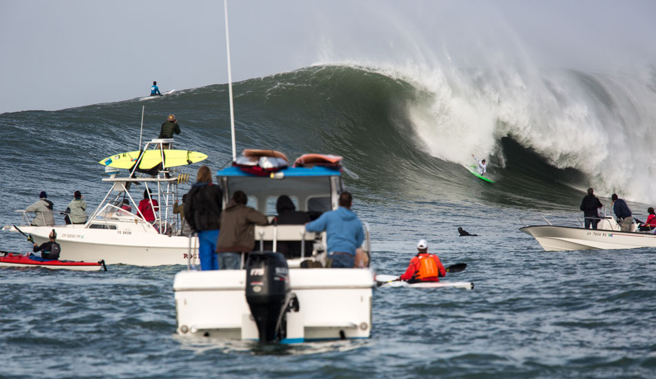 Lamb about to get the beating of a lifetime. Photo: <a href=\"https://www.adamwarmington.com/\">Adam Warmington.</a>