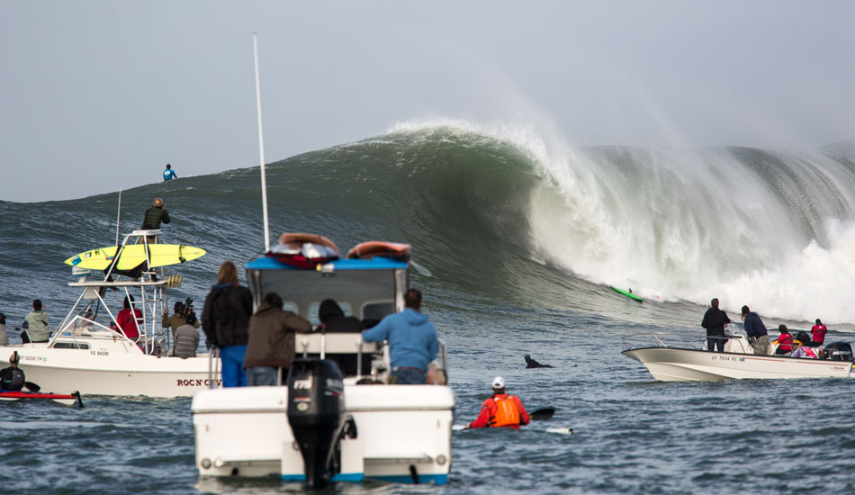 Photo: <a href=\"https://www.adamwarmington.com/\">Adam Warmington.</a>