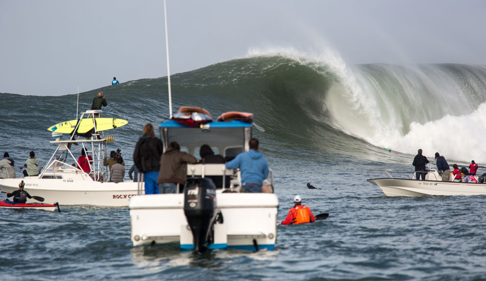 Photo: <a href=\"https://www.adamwarmington.com/\">Adam Warmington.</a>