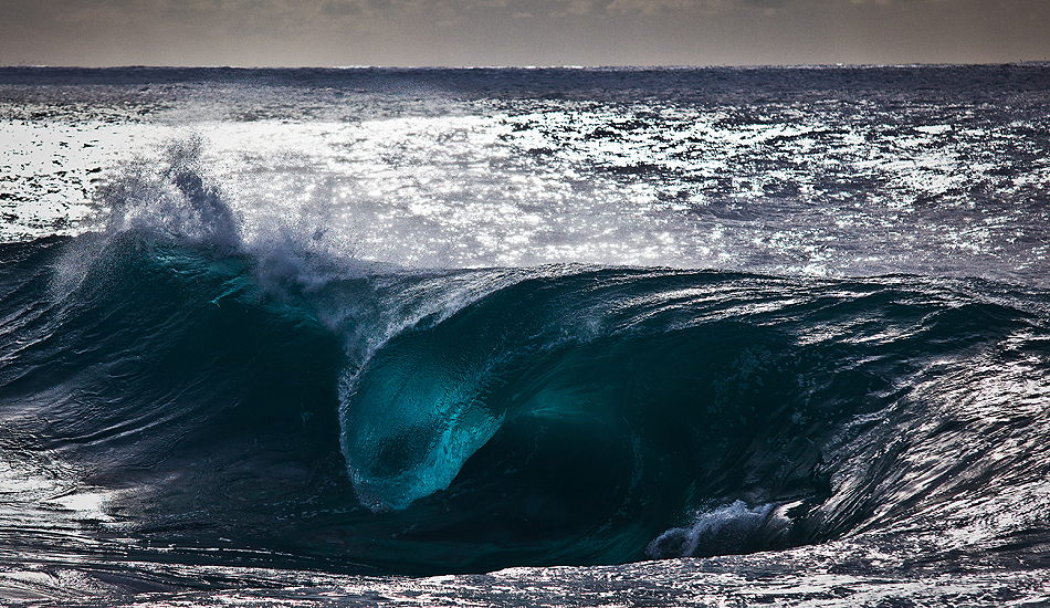 Blue Tongue. Photo: <a href=\"https://www.warrenkeelanphotography.com.au/\" target=_blank>Warren Keelan</a>.