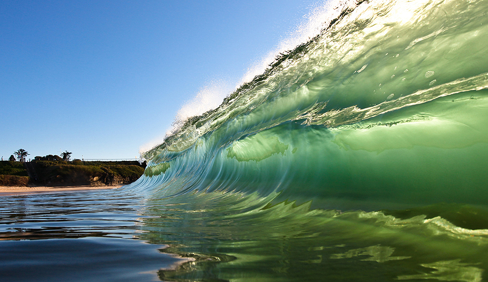 Green Light. Photo: <a href=\"https://www.warrenkeelanphotography.com.au/\" target=_blank>Warren Keelan</a>.